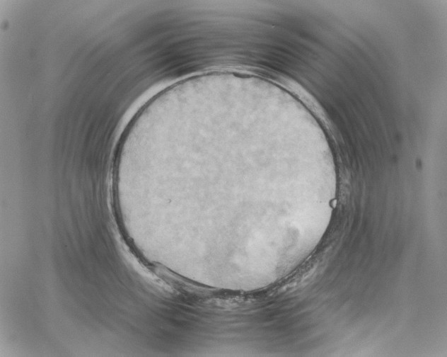 X0000064040955200602242317