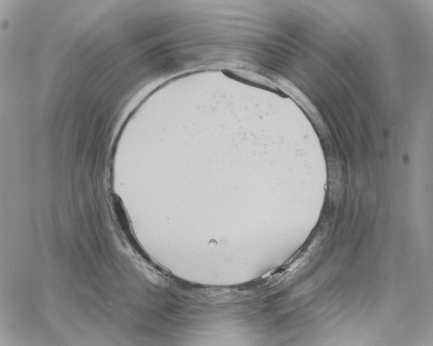 X0000064040956200602242317