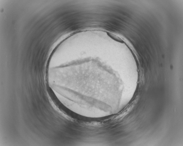 X0000064040957200602242317