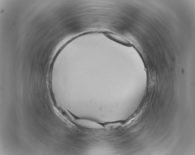 X0000064040958200602242317