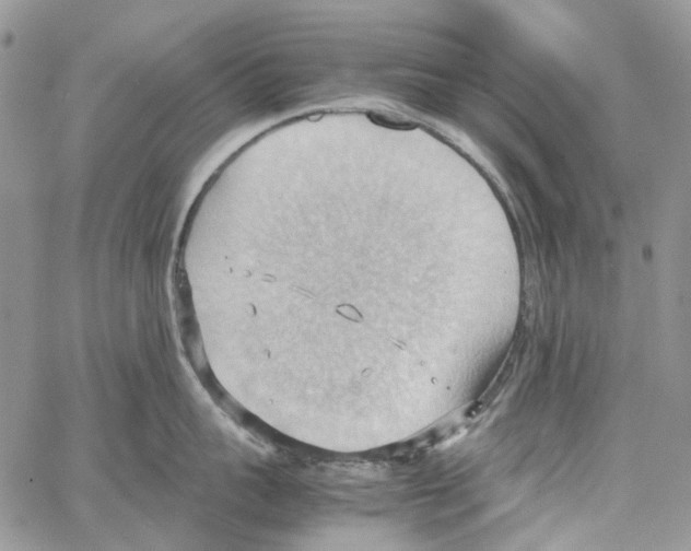 X0000064040959200602242317