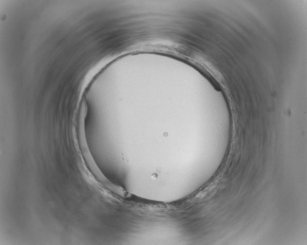 X0000064040960200602242317