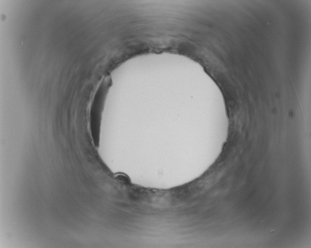 X0000064040961200602242316