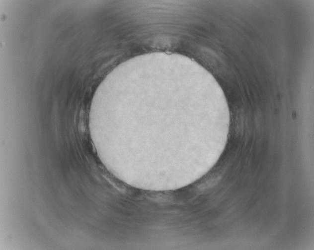 X0000064040962200602242316