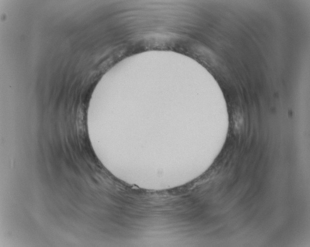 X0000064040964200602242316