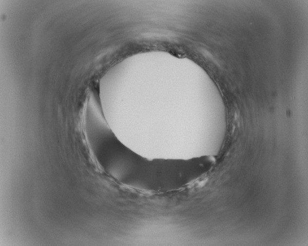 X0000064040965200602242316