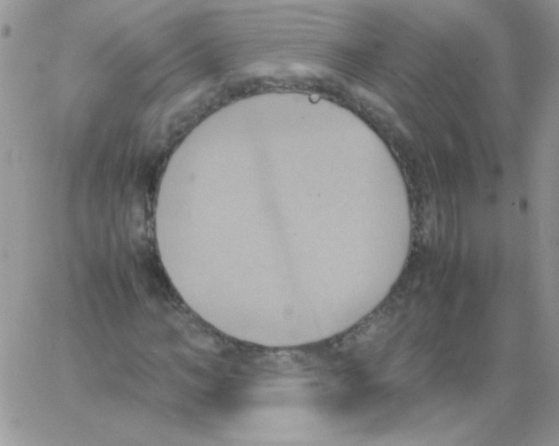 X0000064040966200602242316