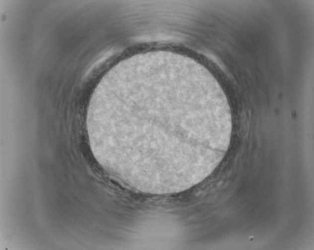 X0000064040967200602242316