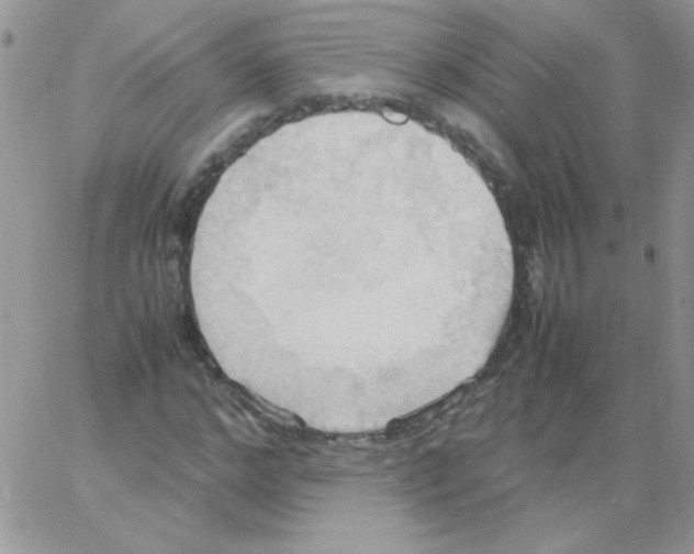 X0000064040968200602242316