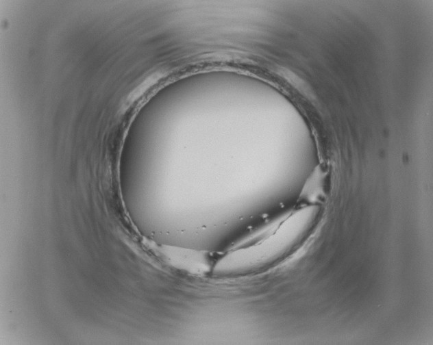 X0000064040969200602242316