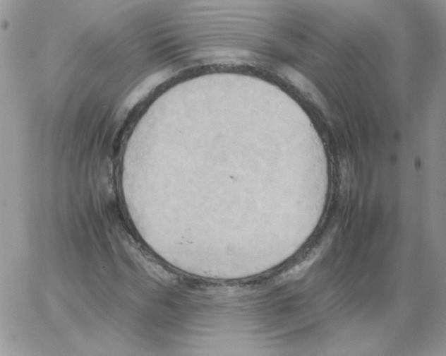 X0000064040970200602242316