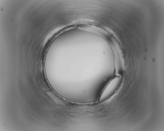 X0000064040973200602242316