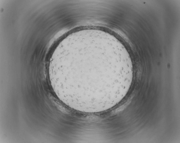 X0000064040974200602242316