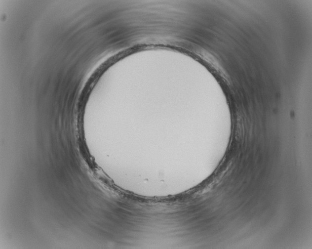 X0000064040976200602242316