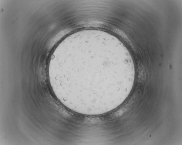 X0000064040978200602242316