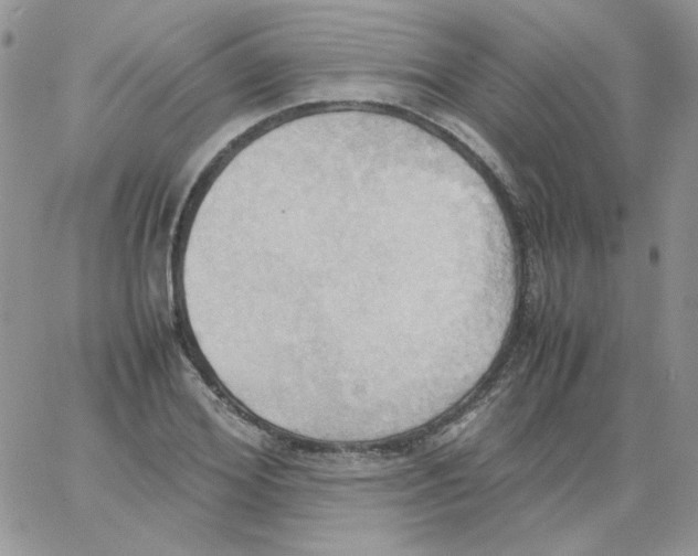 X0000064040980200602242316