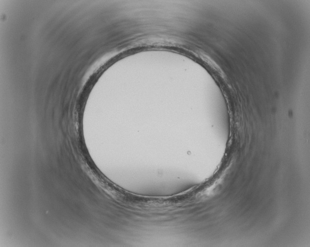 X0000064040981200602242316