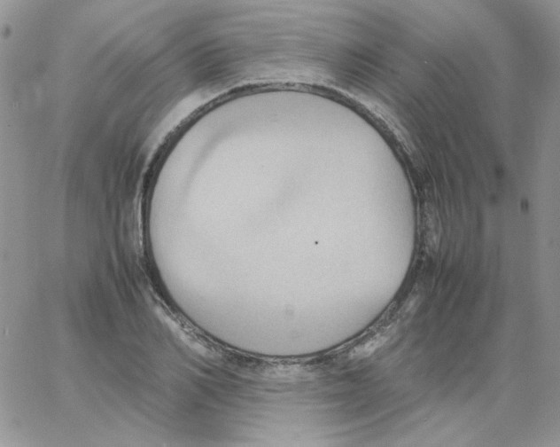 X0000064040982200602242316