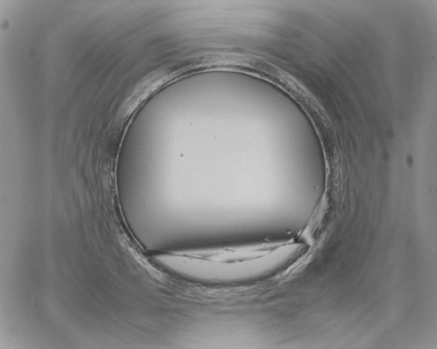 X0000064040985200602242316