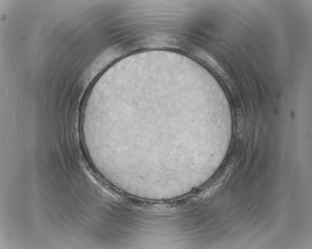 X0000064040986200602242316