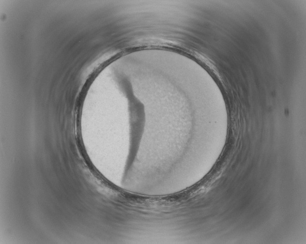 X0000064040987200602242316