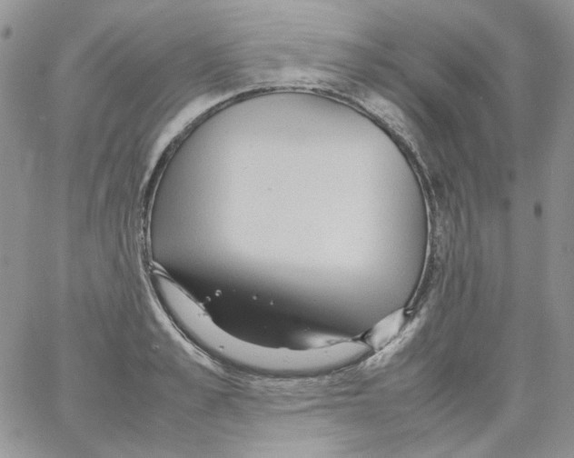 X0000064040989200602242316