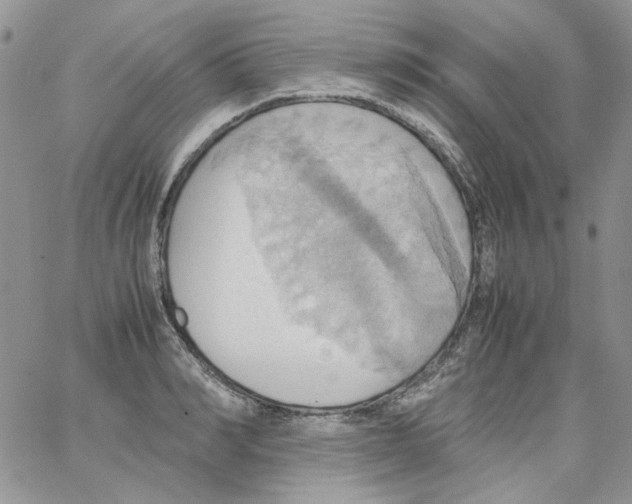 X0000064040990200602242316