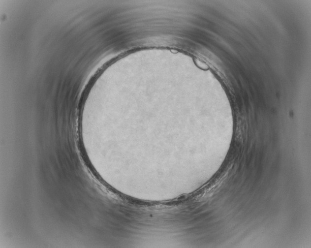 X0000064040992200602242316