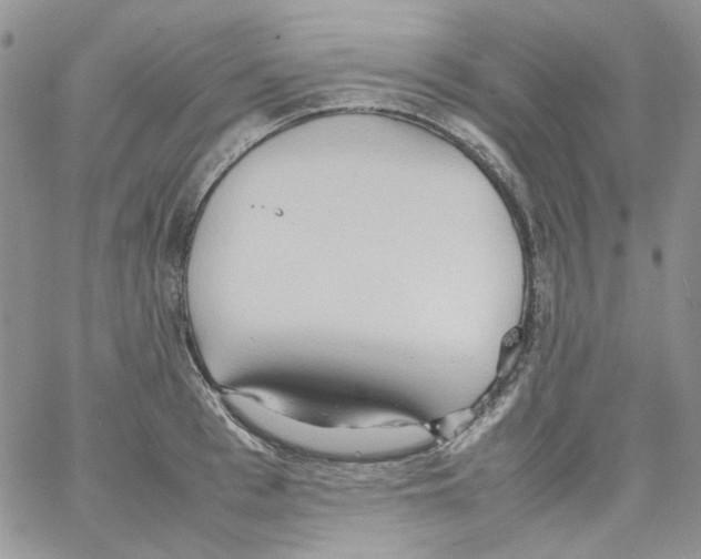 X0000064040993200602242316