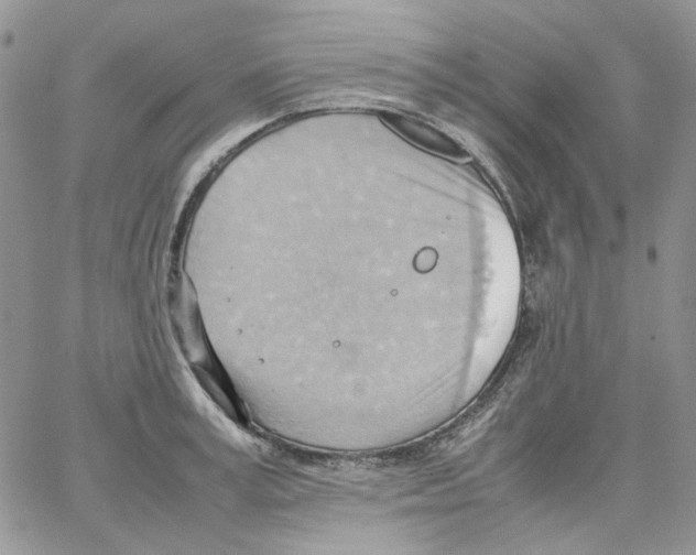 X0000064040995200602242316