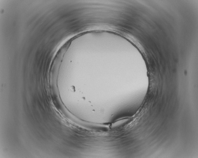 X0000064040996200602242316