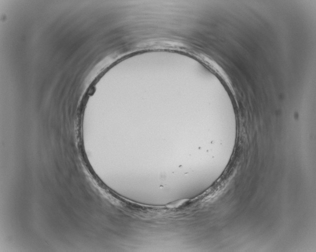 X0000064040997200602242316