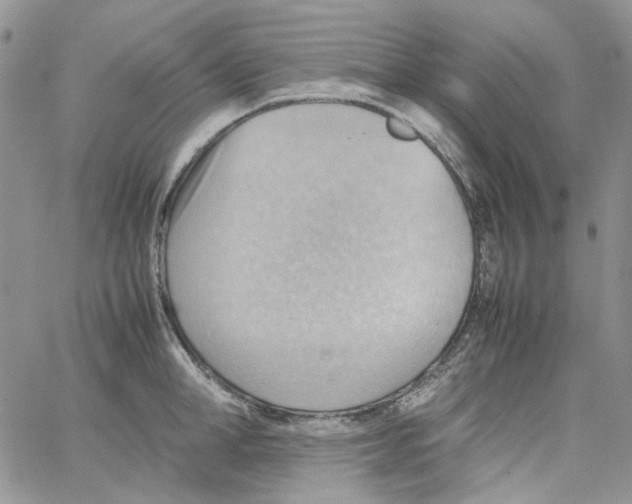 X0000064040998200602242316