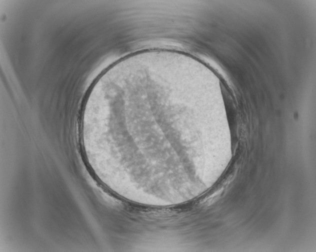 X0000064040999200602242316