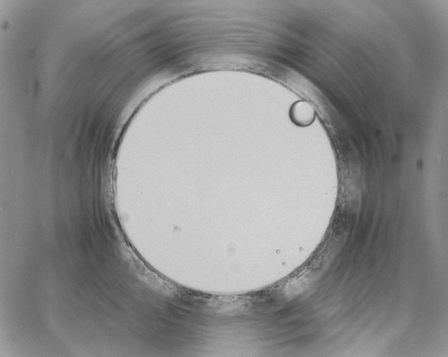 X0000064041000200602242316