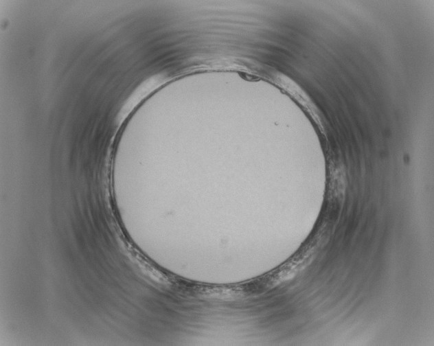 X0000064041002200602242316