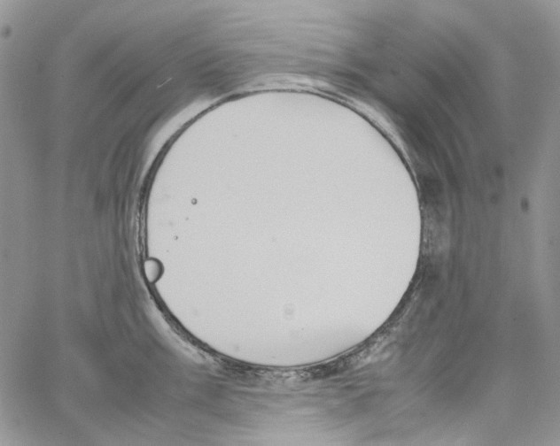 X0000064041003200602242316