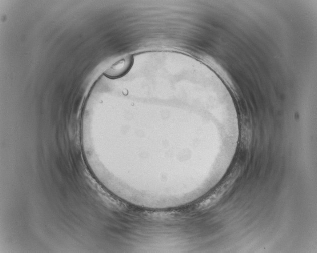 X0000064041004200602242316