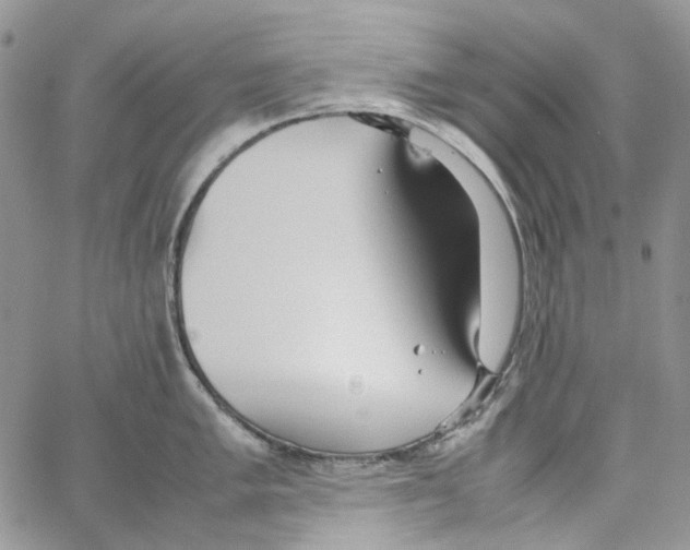 X0000064041005200602242316