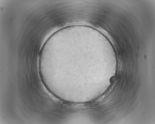 X0000064041006200602242316