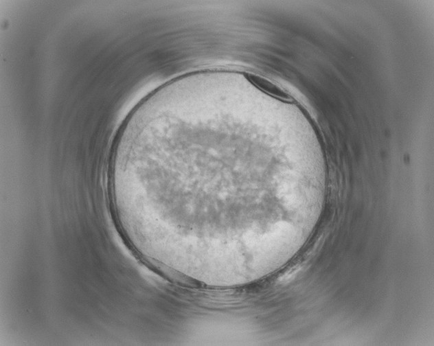 X0000064041007200602242316