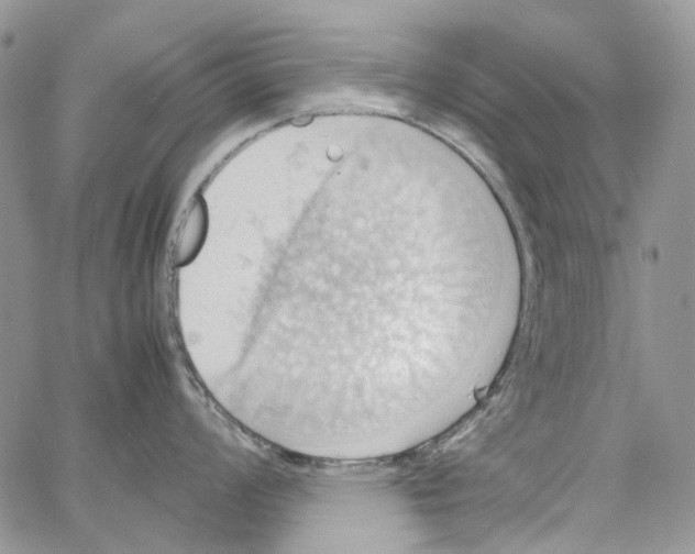 X0000064041008200602242316