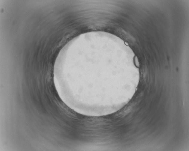 X0000064041012200602242315