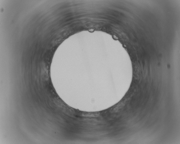 X0000064041013200602242315