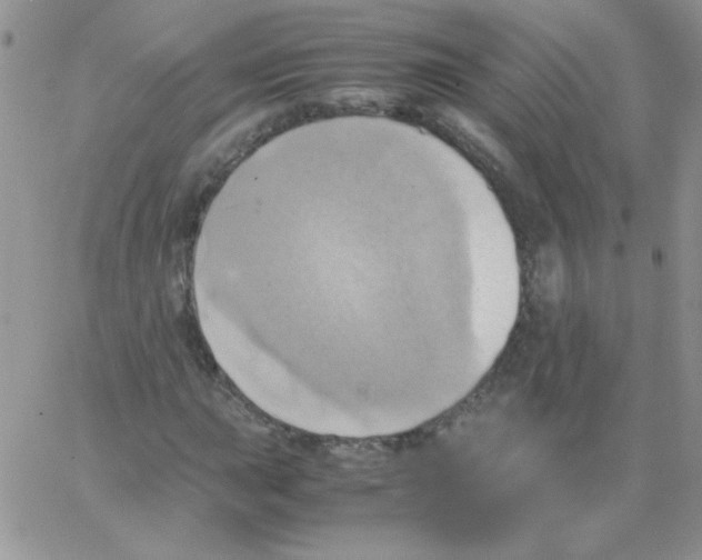 X0000064041015200602242315