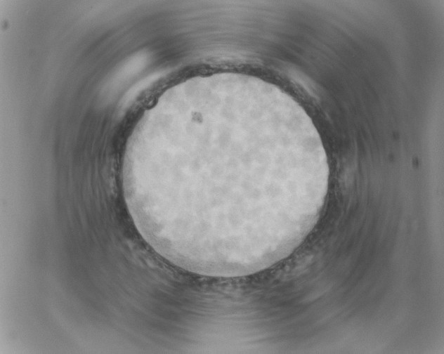 X0000064041016200602242315