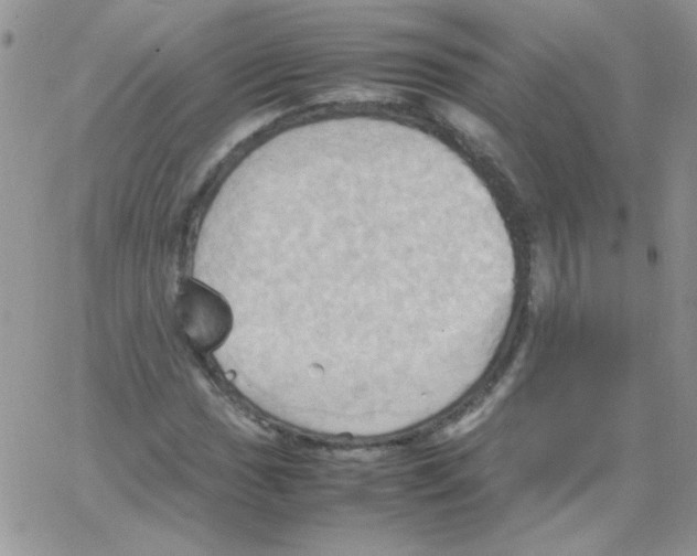 X0000064041017200602242315