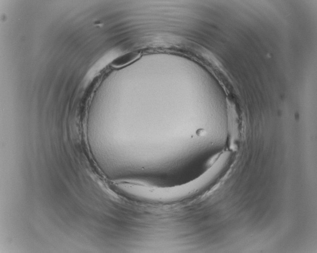 X0000064041018200602242315