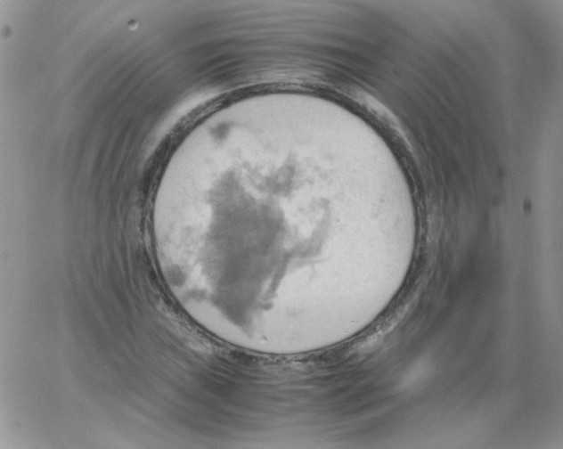 X0000064041019200602242315