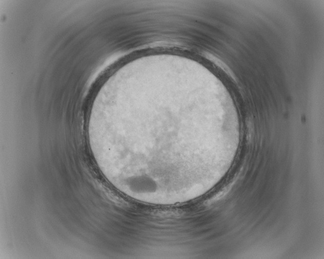 X0000064041021200602242315